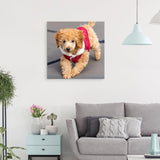 Personalized Custom Canvas Photo Prints - Canvas Prints With Your Photos Pictures On Canvas Wall Art for Home Decor, Bedroom, Living Room, Wedding Baby Pet Family Gifts (12L" x 12W")