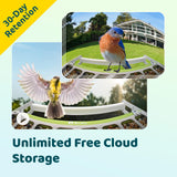 Birdfy Smart Bird Feeder with Camera, Durable Metal Feeders for Outdoors, Auto-Identify & Record Video, Instant Alert, Live Bird Watching Camera Solar, Gifts for Backyard Birder (AI Lifetime Free)