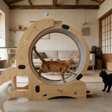 55" Large Cat Wheel for Indoor Cats, 6-in-1 Multifunctional Cat Treadmill with Cat Bed, Scratching Board, Detachable Mat, Climbing Frame & Toys, Ideal for Running, Walking & Daily Training