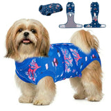 PetWarm After Surgery Onesie for Dogs, Recovery Suit for Dogs, Recovery Shirt for Dog Abdominal Wounds Bandages Cone E-Collar Alternative, Pet Surgical RecoverySuit, Underwater World Pattern, Blue, XS