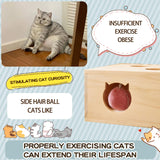 Whack a Mole Cat Toy with Pop Up Mice - Interactive Puzzle Game & Scratch Board for Indoor Cats, Mental Enrichment and Exercise, Fun Cat Puzzle Box Toy