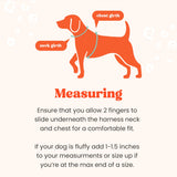 Petgrove Step in Small Dog Harness and Puppy Harness – No Pull No Choke Reflective Mesh Vest with Front & Back Clips for Tiny XXS and Extra Small Dogs (Modern Dog, XXXS)