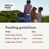 PetLab Co. 22-in-1 Multivitamin Chews for Dogs, Pork Flavor