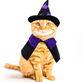 Dxhycc Halloween Pet Costume Cat Wizard Costume Funny Wizard Cat Clothes Cloak and Wizard Hat for Small Dogs Cats Outfits