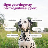 Ayourpets Calming Cognitive Chews for Senior Dogs with Anxiety, Memory & Brain Support – Holistic Herbal Ashwagandha, Brahmi & Omega-3 – Fish Flavor – 90 Count