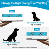 XiaZ Double Dog Leash for Two Dogs, No Tangle with 360° Swivel & 4 Comfortable Handles, Heavy Duty Dual Dog Leash with Highly Reflective Rope, Adjustable Split Leash for Small Medium Dogs, 3/8”Blue