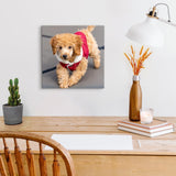 Personalized Custom Canvas Photo Prints - Canvas Prints With Your Photos Pictures On Canvas Wall Art for Home Decor, Bedroom, Living Room, Wedding Baby Pet Family Gifts (12L" x 12W")