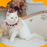 Silk New Year Pet Outfit for Cats & Small Dogs – Embroidered Vintage Pattern, Metal Buckle, Cat Costume Photo Prop for Birthday & Holiday