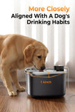Pokpet Dog Water Fountain Indoor Homes Stainless Steel 10L/2.64GAL Plug in Plastic Reservoir Stainless Steel Water Bowl Filtered Multi-Pet Quiet Large Black Plug-in &1Filter