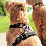 Lucky Love Dog Bundle - Medium No Pull Dog Harness & Adjustable Collar, in Stylish Hippie Pattern, Durable & Comfortable for Pet Dogs, Suitable for Puppies & Adult Dogs