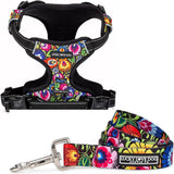 Lucky Love Dog, Bundle of Matching Harness Plus Leash for Easy Walk Training Comfort- Blackbird, Small