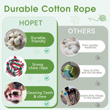 Bungee Tether Tug Outdoor Dog Toy with Stake,Tug of War Dog Toy for Aggressive Chewers to Keep Them Busy,Outdoor Interactive Dog Rope Toy for Medium/Small Dogs,Can Used On Lawns,Trees and Doors