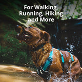 Ruffwear, Flagline Dog Harness, Lightweight and Reflective, No Pull Dog Lift Harness for Hiking, Running and Everyday Use, Sage Green, Medium