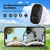 Squirrel Feeder with Camera Solar Powered,Bird Feeder Camera with AI Identify Birds Species,1080P HD Squirrel House with Camera Auto Capture &Videos,Free 64GB SD Card,Ideal Gift for Bird Lovers