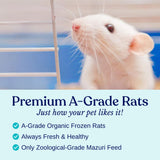 MiceDirect 30 Frozen Large Feeders Snake Food for Adult Red Tail Boas (8-9 in)(5250 Grams Min)