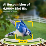 Birdfy Smart Bird Feeder with Camera, Durable Metal Feeders for Outdoors, Auto-Identify & Record Video, Instant Alert, Live Bird Watching Camera Solar, Gifts for Backyard Birder (AI Lifetime Free)