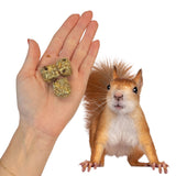 Exotic Nutrition Squirrel Beneficial Blocks - Healthy & Unique Supplemental Food with Nuts & Seeds, 10 oz