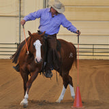 Parelli Carrot Stick & 6-Foot Savvy String Set | Equestrian Horse Riding & Training Longe 4-Foot No-Flex Shaft Orange Stick Not a Whip with Versatile White String Included