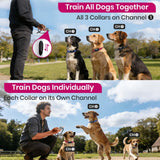 PetJoy 3-Dog Training Collars & Shock Collar for 3 Dogs, with Lockable Shock - Shock Lock Mode Switches to Tone & Vibe Only, Includes Rechargeable Remote with 4000ft Range (9 Tones)