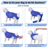 PetWarm Dog Suit for Surgery Recovery, Dog Recovery Suit for Female Spay, Protective Bodysuit with Abdominal Coverage, Anti-Lick Comfortable Onesie for Small to Large Dogs, Galaxy Pattern, Purple, M