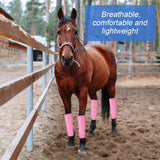 Bulyoou Set of 8 Mesh Fly Boots for Horse Breathable Mesh Horse Boots Protective Loose Wraps Adjustable for Preventing Legs Reduces Flies and Mosquitoes Bites(Lighe Blue, Light Pink)