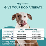 PetScy Itch & Allergy Plus Dog Allergy Chews for Itchy Skin, Ears & Paws