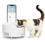 PetSafe FreshFeed Refrigerated Automatic Wet Food Feeder, 6 Meals, White