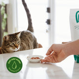 smallbatch Freeze Dried Raw Cat Food, High Protein Beef Recipe, 10 oz