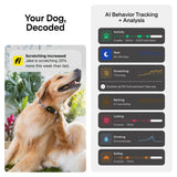 Fi New Series 3+ Smart Dog Tracker Collar [12 Month Membership Included] GPS Tracker for Dogs with Health & Behavior Monitoring, Escape Alerts, Waterproof, LED, Apple Watch Compatible (Gray, Large)