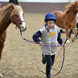 Parelli Mini Carrot Stick & 4-Foot Savvy String Set | Equestrian Horse Riding & Training Longe 3-Foot No-Flex Shaft Orange Stick Not a Whip with Versatile White String Included