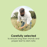 Kaytee Timothy Hay, High Fiber, Grown Specifically for Small Animals, Rabbits, Guinea Pigs, Chinchillas, Ideal Bulk Order for Small Pets, 12 pounds