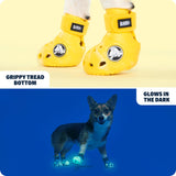 Barkbox Yellow Crocs Dog Shoes – Set of 4 Glow-in-The-Dark Dog Booties with EVA Foam, Adjustable Strap & Non-Slip Sole – Comfortable Paw Protection for Large Breeds (51-80 lbs)
