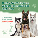 Outdoor Dog Water Fountain Step On, 2-in-1 Drinking & Sprinkler Water Dispenser, Paw Activated Drinking Dispenser for Yard, Garden, Lawn Interactive Summer Cooling Toy for Medium Large Dogs