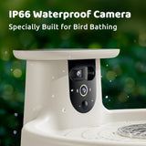 Birdfy Smart Bird Bath with Camera, Solar Powered & Fountain, 2K AI Camera