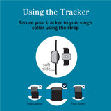 Petivity Smart GPS and Activity Pet Tracker for Dogs Powered by Purina, Waterproof Real Time Tracking GPS Dog Collar, Downloadable App, Subscription Required