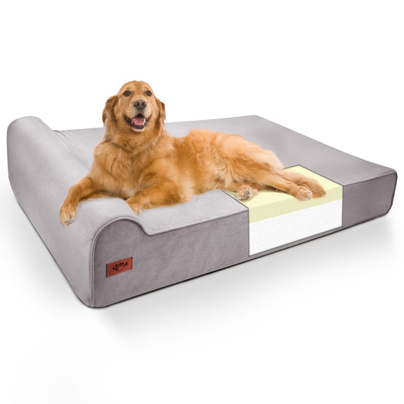 Dog lying on a gray pet bed with a white background