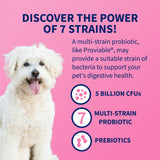 Nutramax Laboratories 30 Count Proviable Health Supplement for Cats and Dogs (PROVDC30)