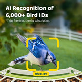 Birdfy Smart Bird Feeder with Camera, Durable Metal Bird Feeders for Outdoors, Auto-Detect & Record HD Videos, Instant Alerts & Live View, Solar Powered, Weatherproof for Backyard, Ideal Gift for Mom