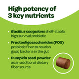 Probiotic Chews for Dogs Gut Health | Tasty Pre and Probiotics for Dogs Digestive Health with Pumpkin Dog Probiotics and Digestive Enzymes | NASC Certified & Made in The USA | 60 Chews