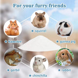Sukh 14 OZ Hamster Sand Bath - Whit Fine Sand Hamster Bedding Reptile Silica Sand Gerbil Hideout for Hamster Chinchillas Gerbil Syrian Mice Small Animals Small Pets