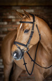 LeMieux Kudos Work Bridle - Brown - Full
