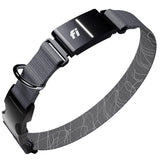 New Fi Series 3+ Smart Dog Tracker Collar [12 Month Membership Included] GPS Tracker for Dogs with Health & Behavior Monitoring, Escape Alerts, Waterproof, LED, Apple Watch Compatible (Gray, Medium)