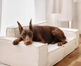 ROVE LAB M1 Large Dog & Cat Bed – 100% Vegan SmartFoam, Oeko‑TEX Spill‑Proof Performance Weave, Spacious Pet Cushion for Large Dogs & Cats – Easy Assembly (Carbon Black)