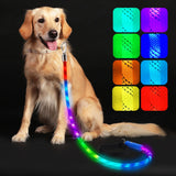 Light Up Dog Leash, LED Pet Leash for Night Walking,13 Lighting Modes, Rechargeable Dog Lights, Glow in The Dark Walking Leashes with Tangle-Free Hook for Medium Large Dogs - 4 Ft