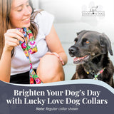 Lucky Love Dog Martingale Collar, Leash & Waste Bag Holder Floral Set - No-Buckle Collar for Training & Walking, Durable & Soft Webbing Leash, Cute Dog Poop Bag Holder - Blackbird, Small