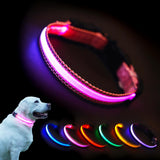 Aiminto USB Rechargeable LED Dog Collar, Waterproof, Adjustable, Glowing, for Extra Small Dogs, Night Walking, Camping, Jogging, Pink, XS (Neck 9-13", Width 5/8")