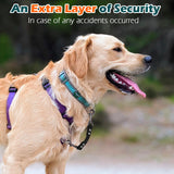 PetBonus Waterproof Dog Collar Safety Clip, Double Ended Leash Backup Clasp