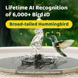 Birdfy Smart Bird Bath with Camera, Solar Powered & Fountain, 2K AI Camera