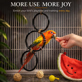 2PCS Snake Climbing Rings for Ball Python - Enrichment Toys for Corn Snake - Reptiletank Cage Decor Habitat Accessories | Terrarium, Bearded Dragon, Chameleon, Iguana, Gecko, Lizard, Parrot