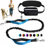 BJDQHKJ Hands-Free Dog Leash for Dogs up to 130 lbs – Heavy-Duty, Shock-Absorbing Bungee Leash with Zipper Pouch, Dual Padded Handles & Adjustable Waist Belt for Running & Walking – Sky Blue